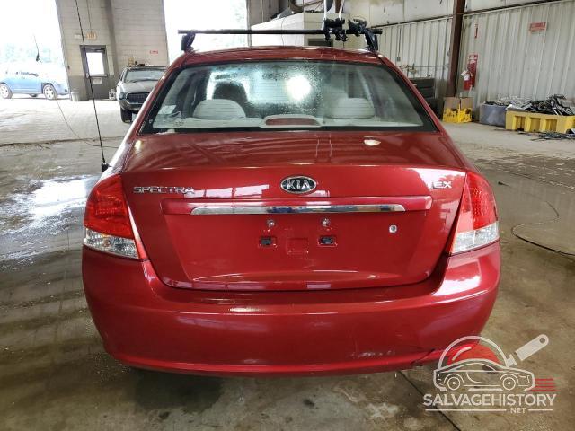 KNAFE121985535203 2008 KIA SPECTRA photo no. 6