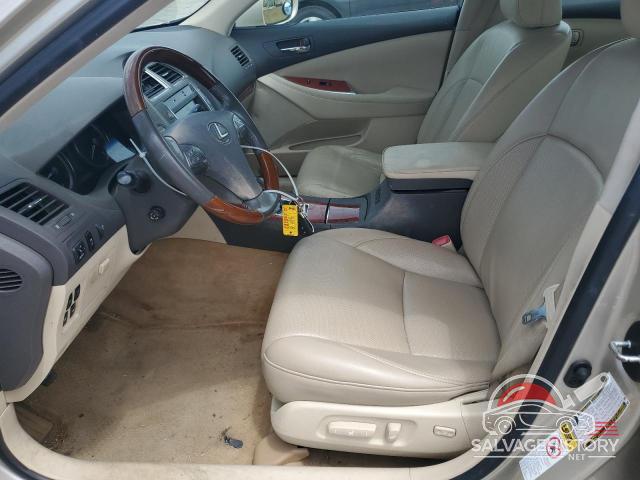 JTHBK1EG8A2367831 2010 LEXUS ES350 photo no. 7
