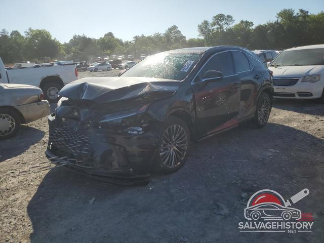 2T2BAMCA7RC060065 2024 LEXUS RX350 photo no. 2