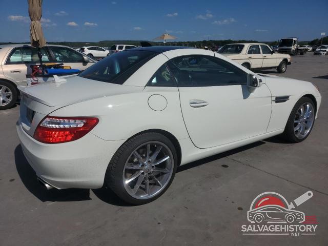 WDDPK5HAXDF074005 2013 MERCEDES-BENZ SLK-CLASS photo no. 3