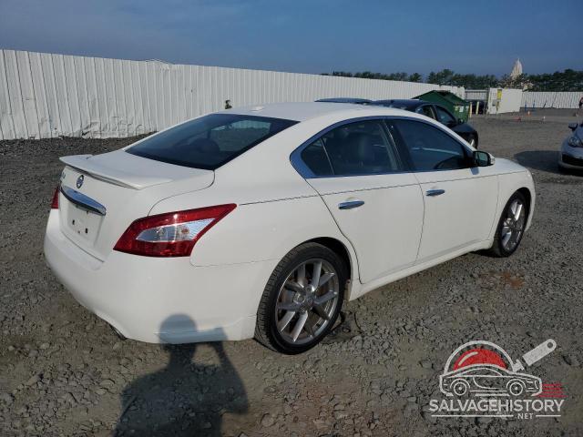 1N4AA5AP7BC855733 2011 NISSAN MAXIMA photo no. 3