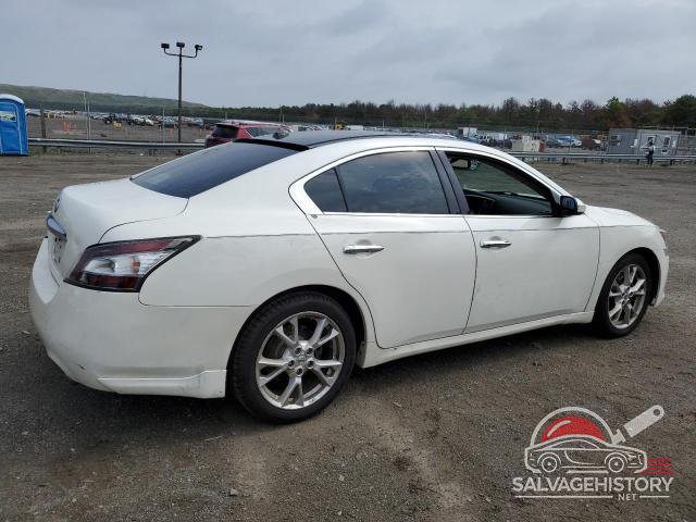 1N4AA5AP5CC855859 2012 NISSAN MAXIMA photo no. 3