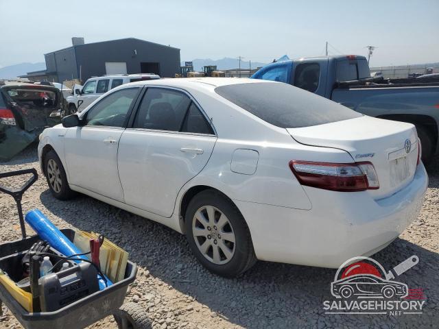 4T1BB46K28U043368 2008 TOYOTA CAMRY photo no. 2