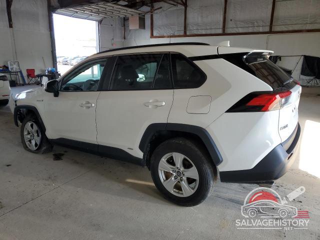 2T3RWRFV7KW010228 2019 TOYOTA RAV4 photo no. 2