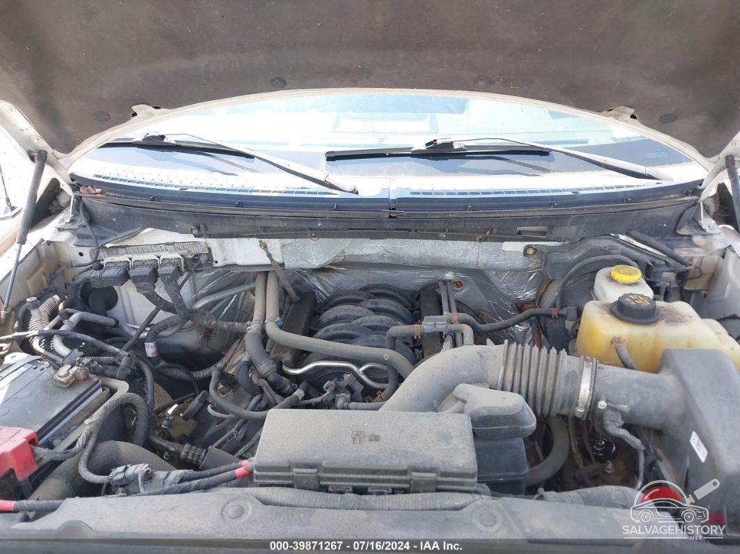 1FTFX1EF4EFC88635 2014 FORD F150 photo no. 10
