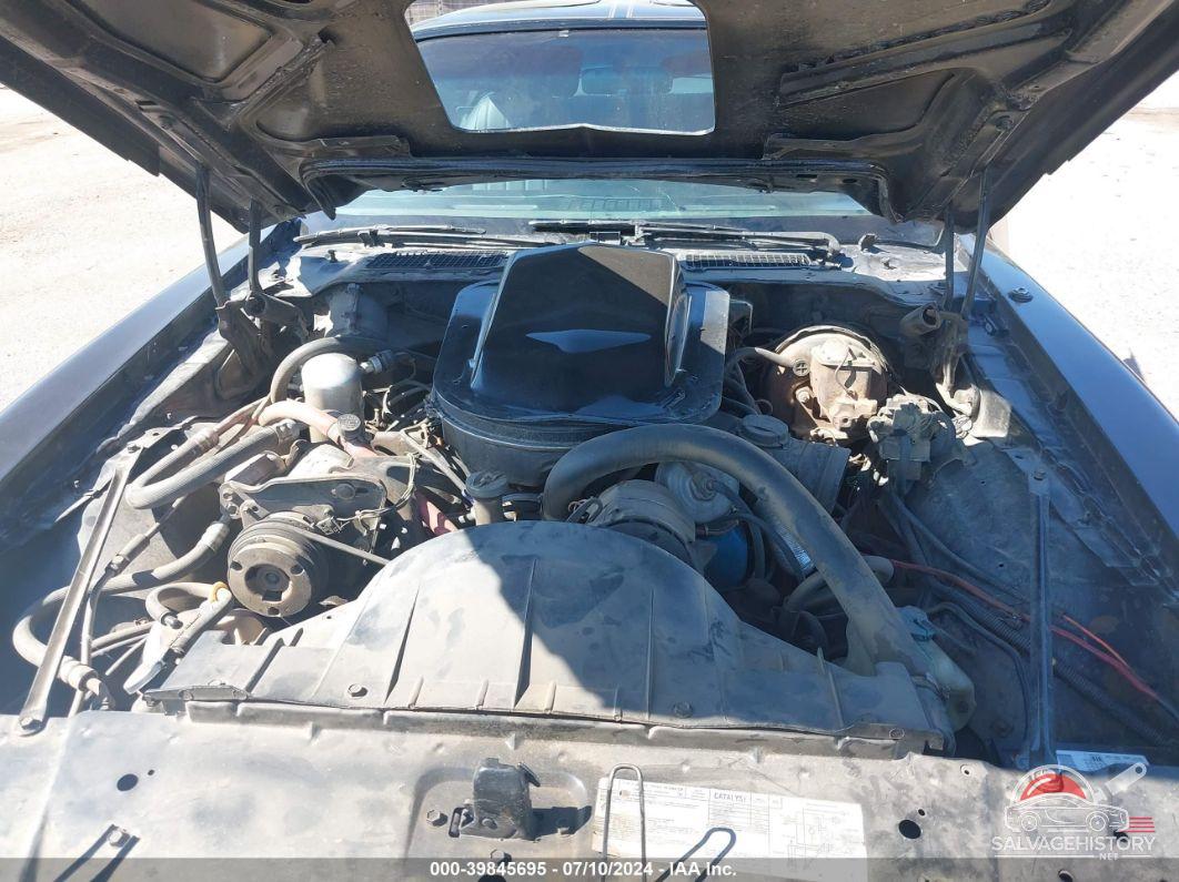 2X87K9L154750 1979 PONTIAC TRANS-AM photo no. 10