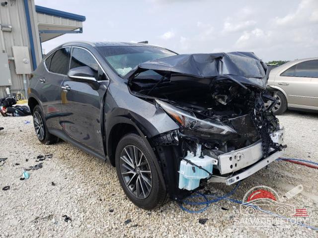 2T2ADCAZ2RC00629X 2024 LEXUS NX 250 BAS photo no. 4