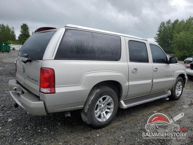 3GYFK66N95G272439 2005 CADILLAC ESCALADE photo no. 3