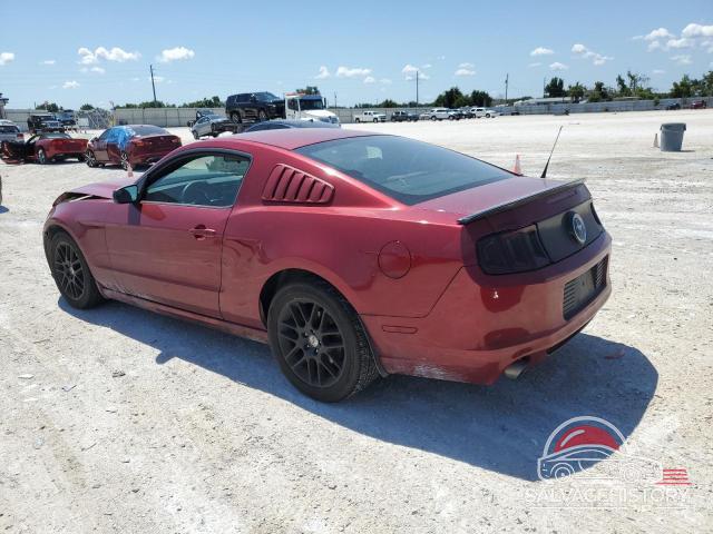 1ZVBP8AM1E5298280 2014 FORD ALL Models photo no. 2