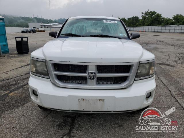 1D7RW3GP7BS701917 2011 DODGE DAKOTA photo no. 5