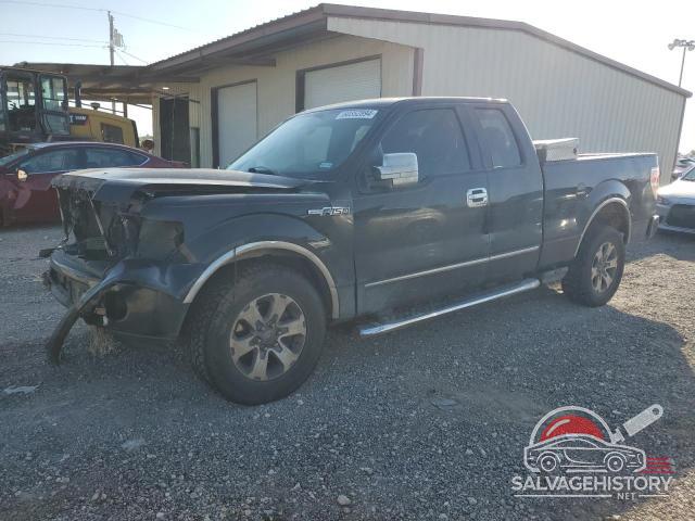1FTFX1EF4DKE97198 2013 FORD F-150 photo no. 15