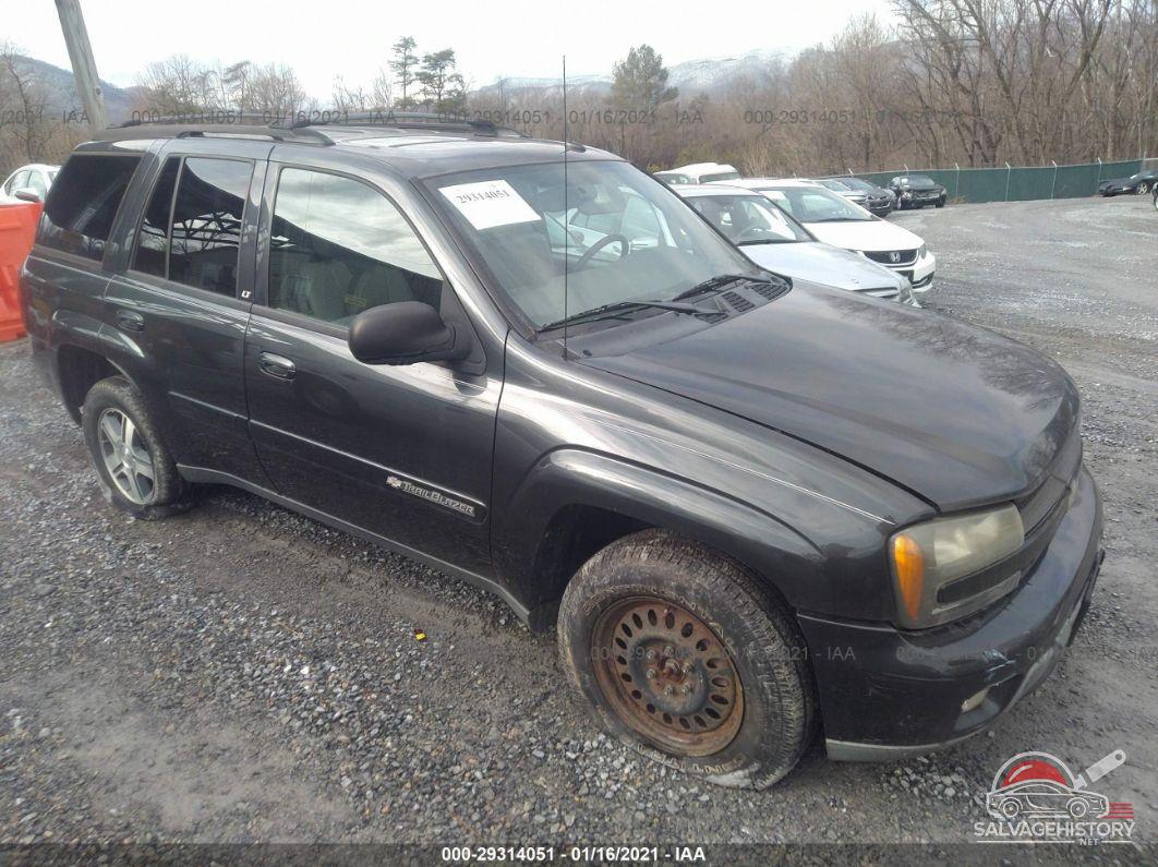 1GNDT13S742450239 2004 CHEVROLET TRAILBLAZER photo no. 19