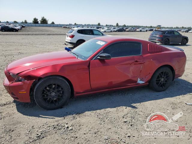 1ZVBP8AM3E5271386 2014 FORD ALL Models photo no. 5
