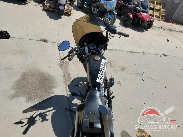 1HD1LC317JC429202 2018 HARLEY-DAVIDSON SPRTSTR120 photo no. 6