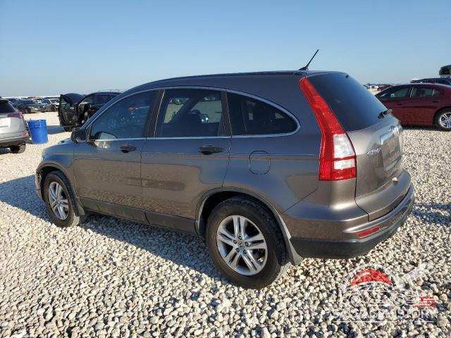 5J6RE3H59AL027086 2010 HONDA CRV photo no. 2