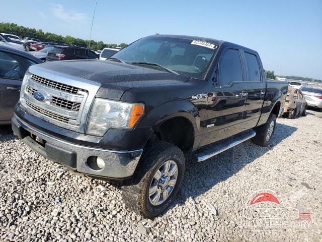 1FTFW1ET0DKD53267 2013 FORD F-150 photo no. 8