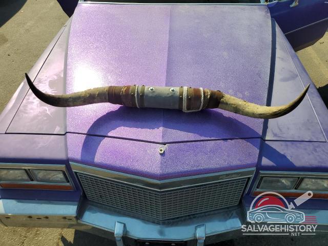 1G6AD6992B9181231 1981 CADILLAC DEVILLE photo no. 11