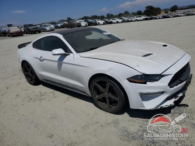 1FA6P8TH5K5197796 2019 FORD ALL Models photo no. 4