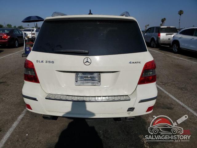 WDCGG8HB0AF316943 2010 MERCEDES-BENZ GLK-CLASS photo no. 6