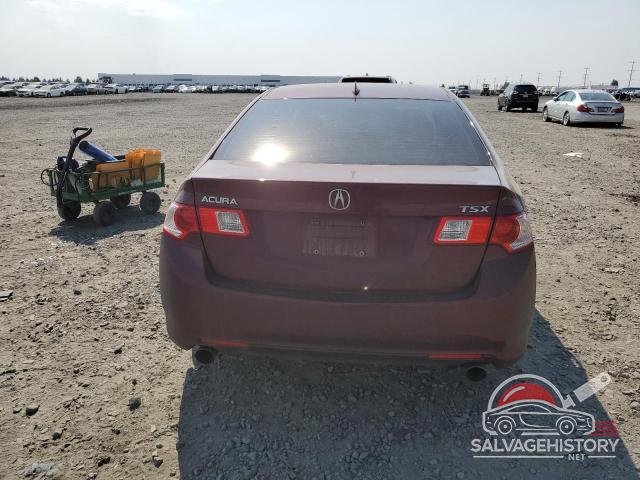 JH4CU26649C032517 2009 ACURA TSX photo no. 6