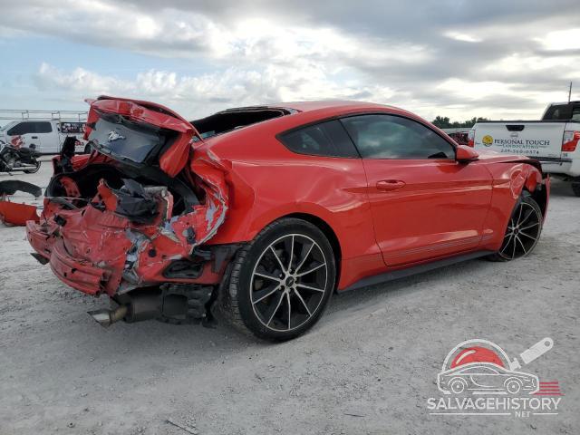 1FA6P8TH8G5222603 2016 FORD ALL Models photo no. 3