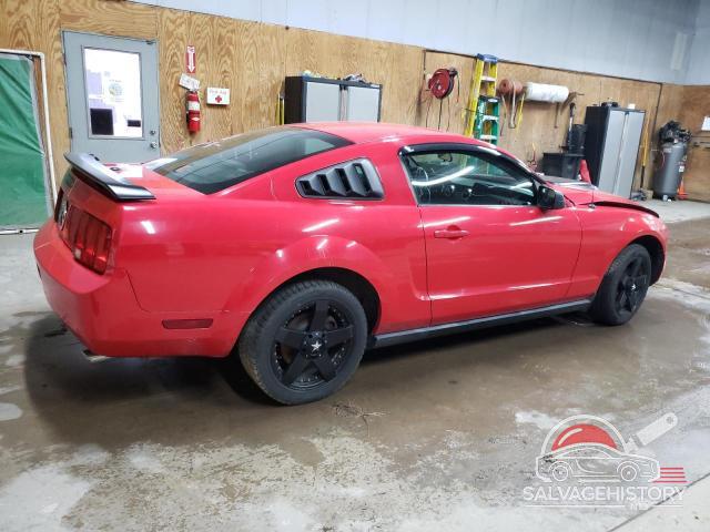1ZVFT80N675299497 2007 FORD ALL Models photo no. 3