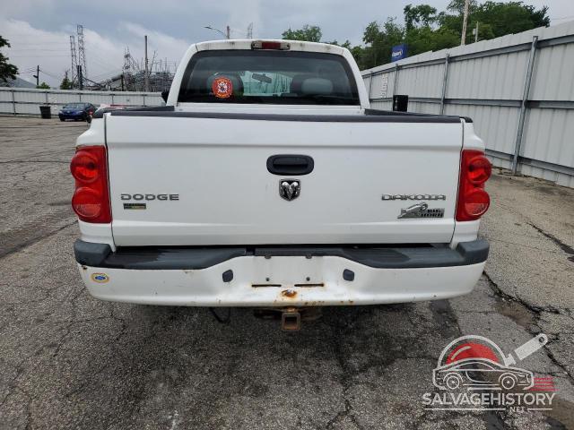 1D7RW3GP7BS701917 2011 DODGE DAKOTA photo no. 6