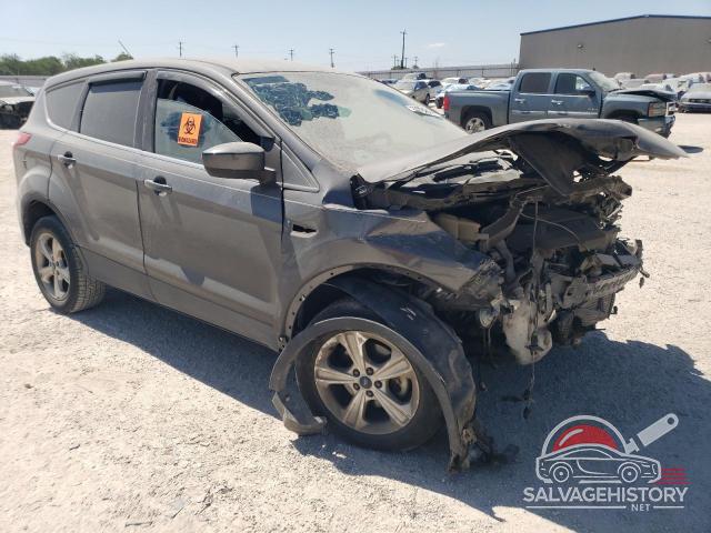 1FMCU0GX4FUB21034 2015 FORD ESCAPE photo no. 4