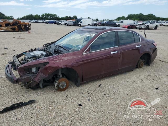 1HGCP3F81BA009490 2011 HONDA ACCORD photo no. 12