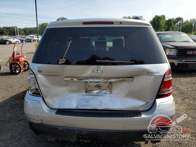 4JGBF71E48A391293 2008 MERCEDES-BENZ GL-CLASS photo no. 6