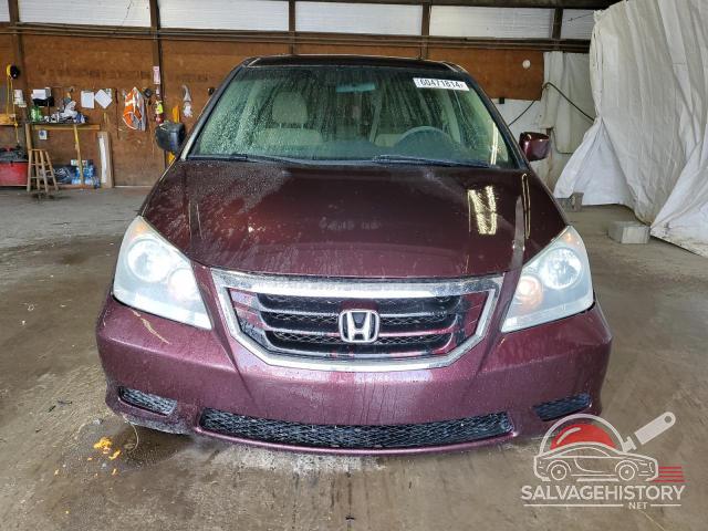 5FNRL3H41AB048410 2010 HONDA All Models photo no. 5