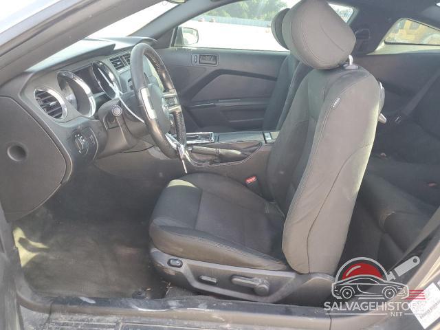 1ZVBP8AMXE5298360 2014 FORD ALL Models photo no. 7