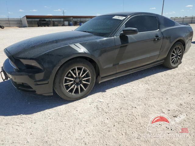 1ZVBP8AM8D5226846 2013 FORD ALL Models photo no. 10