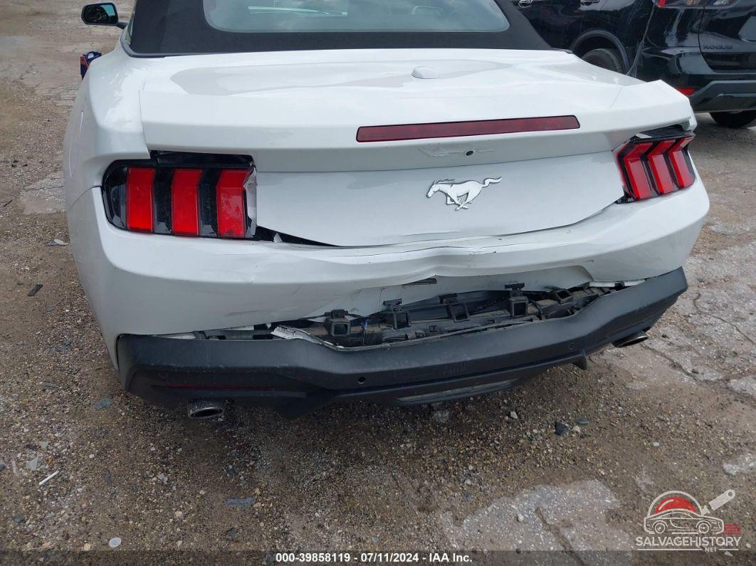 1FAGP8UH6R5105978 2024 FORD MUSTANG photo no. 6