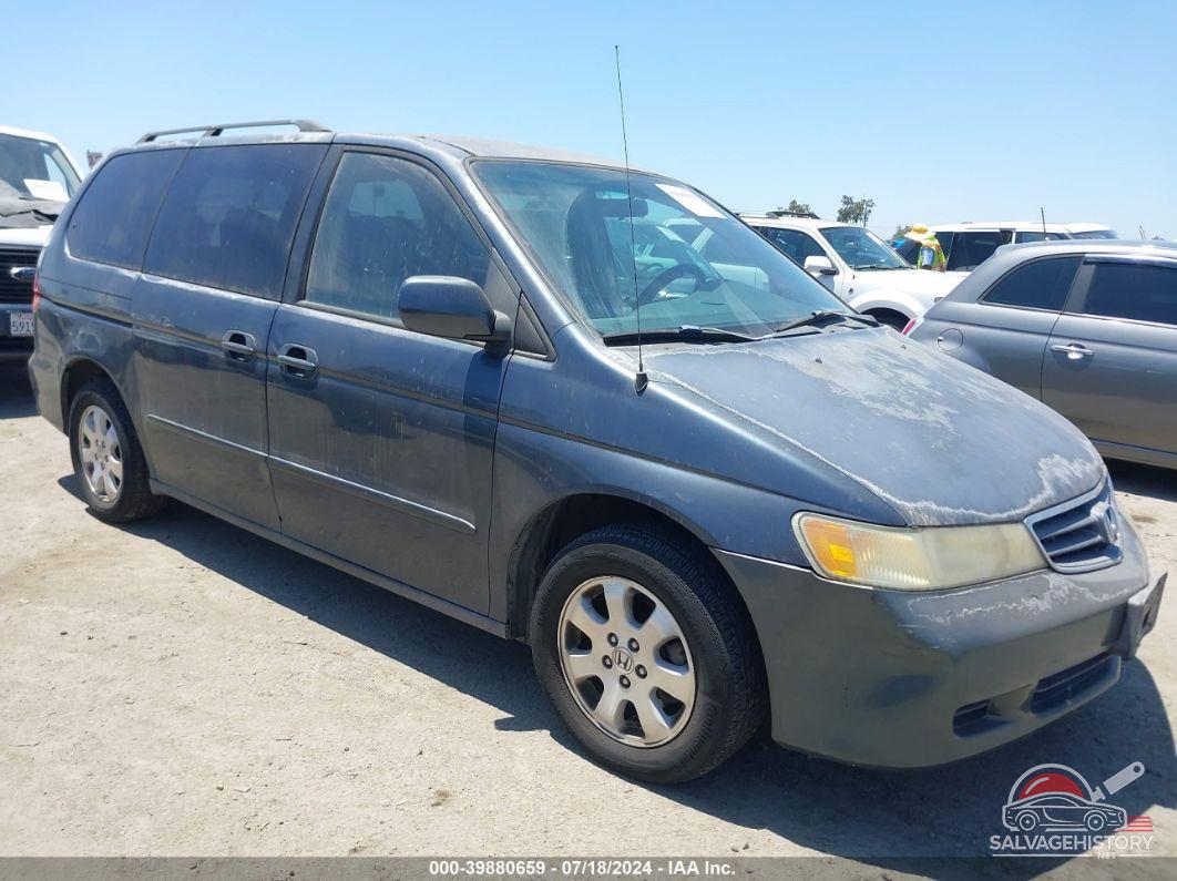 5FNRL18614B141518 2004 HONDA ODYSSEY photo no. 6