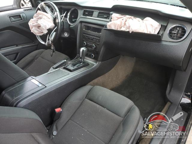 1ZVBP8AM1D5271143 2013 FORD ALL Models photo no. 8