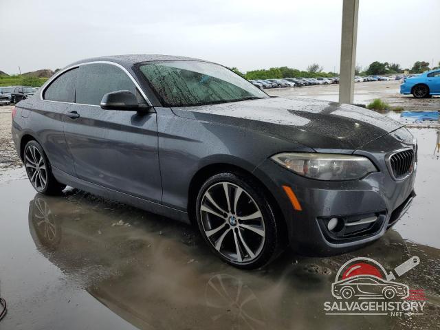 WBA2F9C31HV983929 2017 BMW 2 SERIES photo no. 4