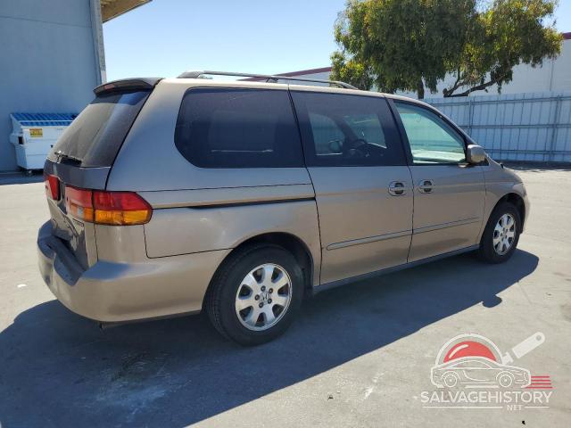 5FNRL180X3B038222 2003 HONDA All Models photo no. 3