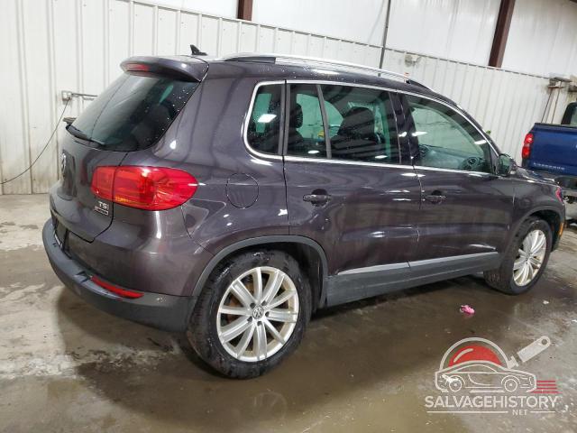 WVGBV7AX9GW520005 2016 VOLKSWAGEN TIGUAN photo no. 3