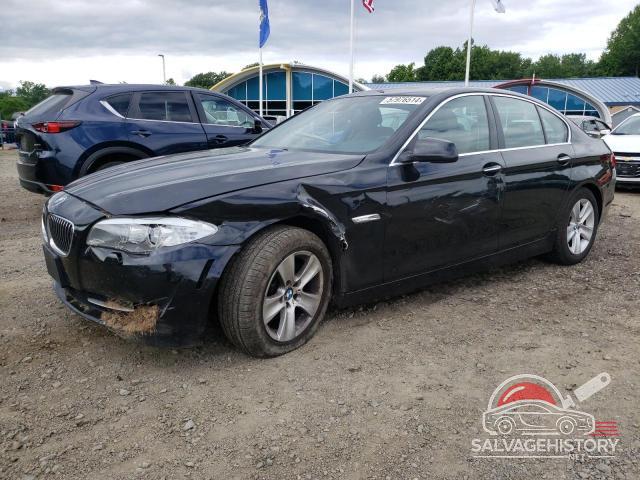 WBAXH5C59DDW14357 2013 BMW 5 SERIES photo no. 14