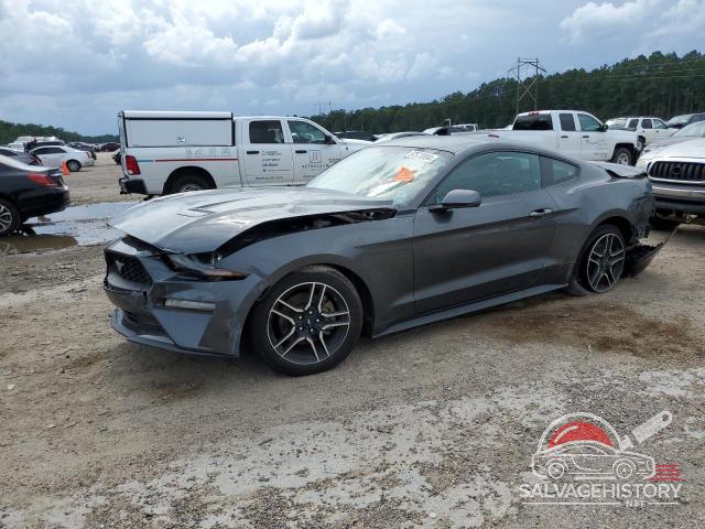 1FA6P8TH1K5172071 2019 FORD ALL Models photo no. 2
