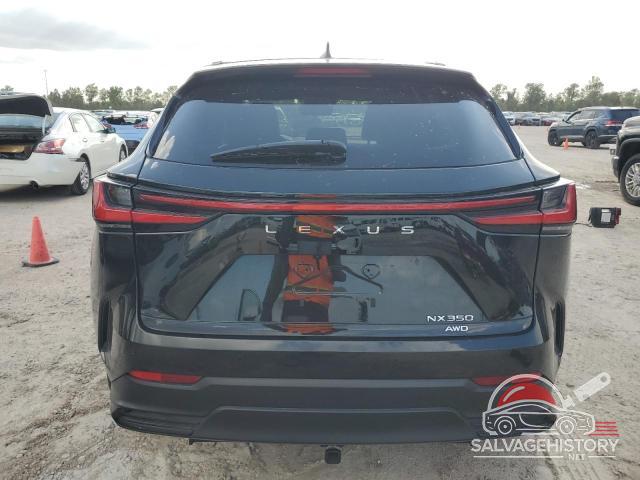 2T2GGCEZ5NC011054 2022 LEXUS NX 350 photo no. 6