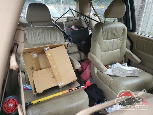 5FNRL38697B436155 2007 HONDA All Models photo no. 11