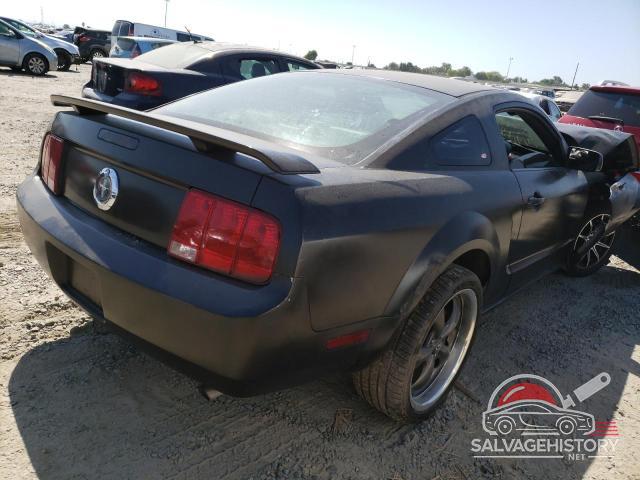 1ZVFT80N855124701 2005 FORD ALL Models photo no. 3