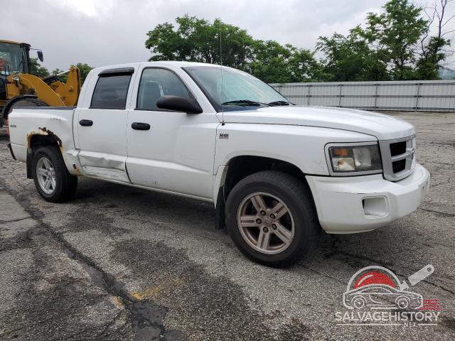 1D7RW3GP7BS701917 2011 DODGE DAKOTA photo no. 4