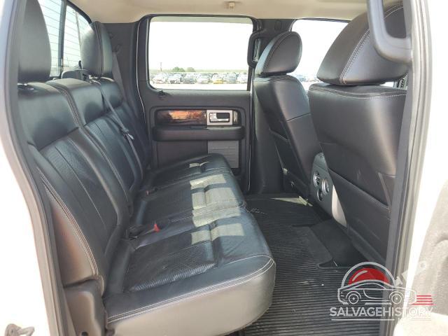 1FTFW1EV6AFA30038 2010 FORD F-150 photo no. 10
