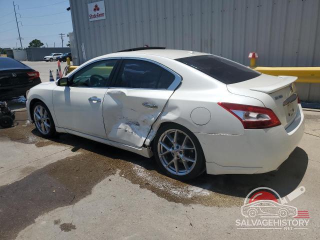 1N4AA5AP8AC865878 2010 NISSAN MAXIMA photo no. 2