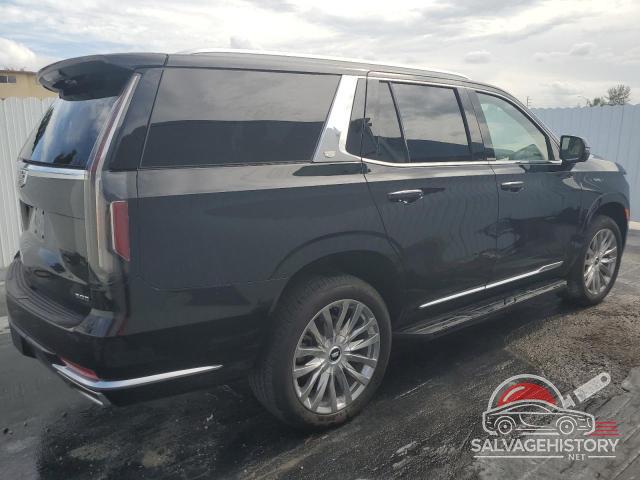 1GYS4BKL1PR366646 2023 CADILLAC ESCALADE photo no. 3