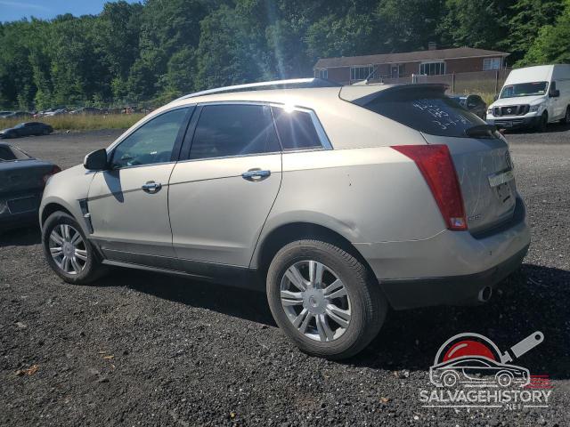 3GYFNAEYXAS579311 2010 CADILLAC SRX photo no. 2