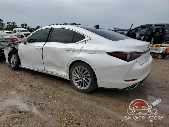 58ABZ1B16KU035586 2019 LEXUS ES350 photo no. 2